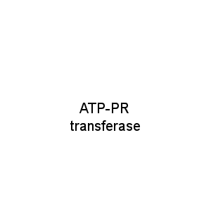 ATP-PR transferase